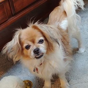 Meet your Posher, Kris